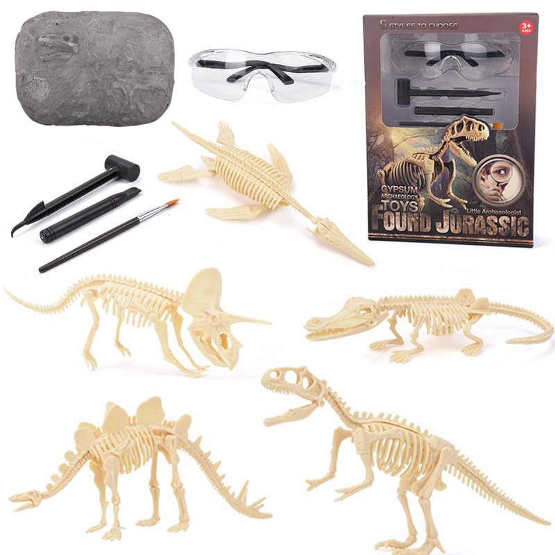 Science Toy - مجموعة تنقيب عن حفريات الديناصورات STEM،