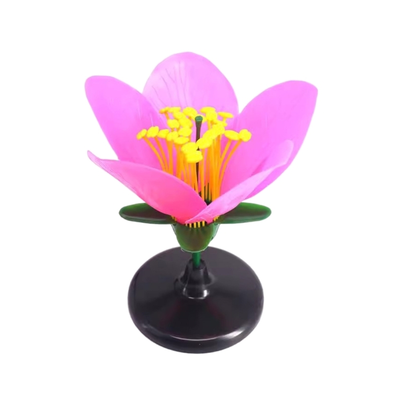 K9FC نموذج تعليمي واقعي للنبات - مراجعة Science Exhibition Models وسعره