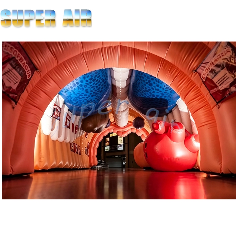 نموذج جسم بشري قابل للنفخ عملا - مراجعة Science Exhibition Models وسعره