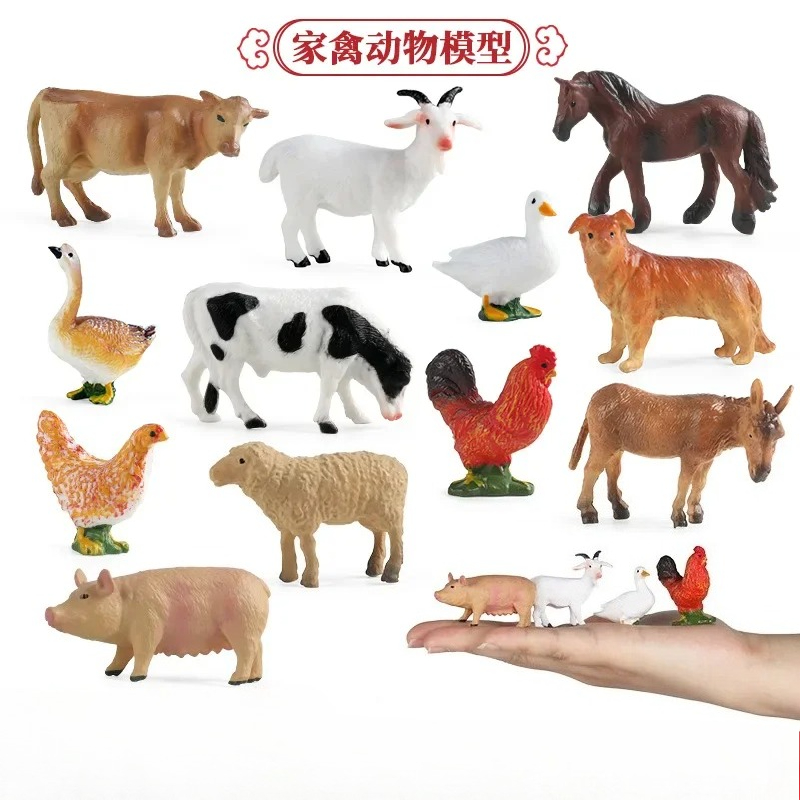 التعليم أداة التدريس الدواجن ا - مراجعة Science Toy وسعره
